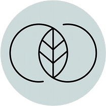 1icon Startseite