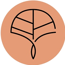6icon TROYOME