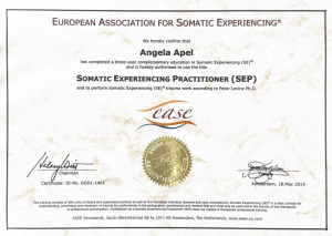 Somatic-Experiencing-300x213 KNR®-Coaching
